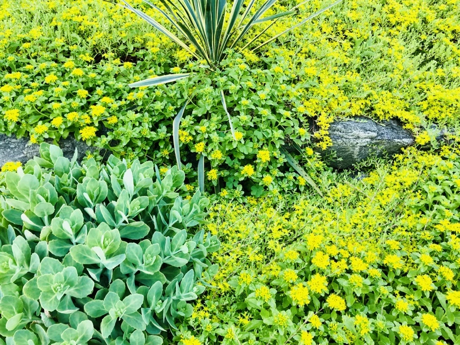 IMG_8391.jpg?type=w966