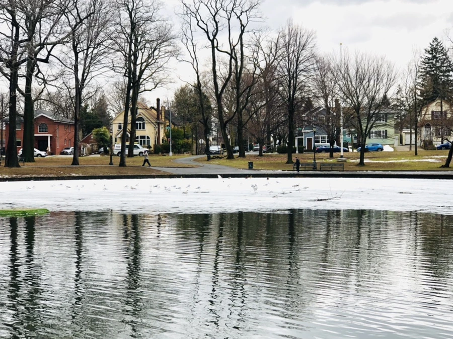 IMG_6442.jpg?type=w966