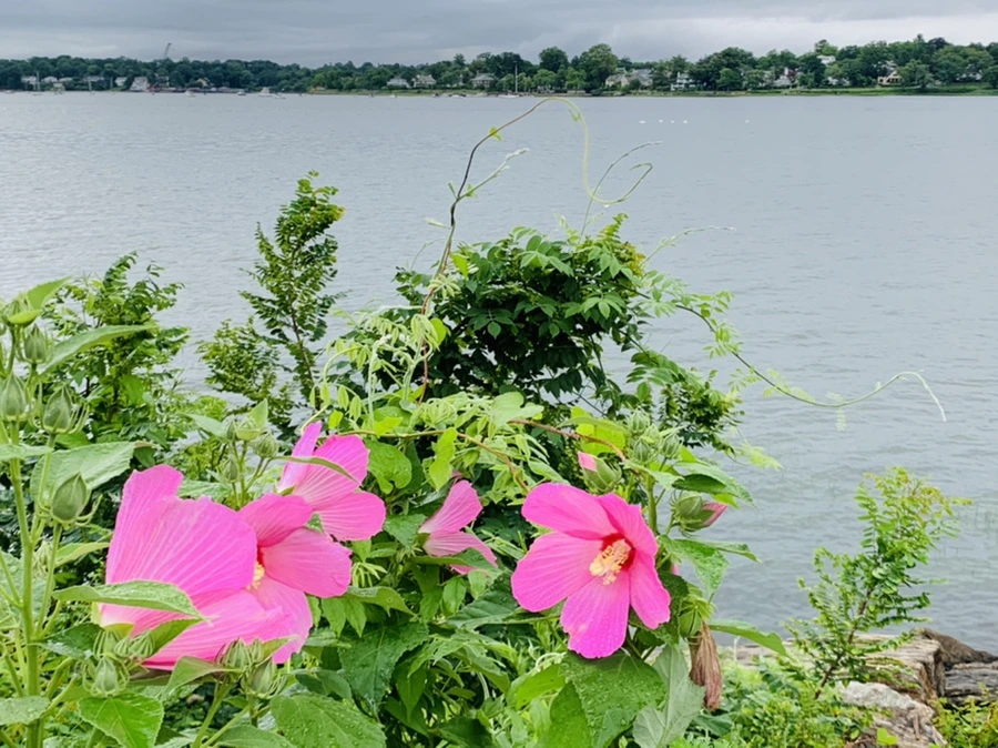 IMG_7754.jpg?type=w966