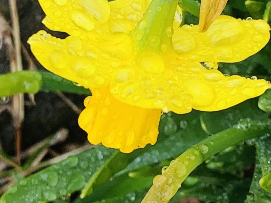 IMG_3735.jpg?type=w966