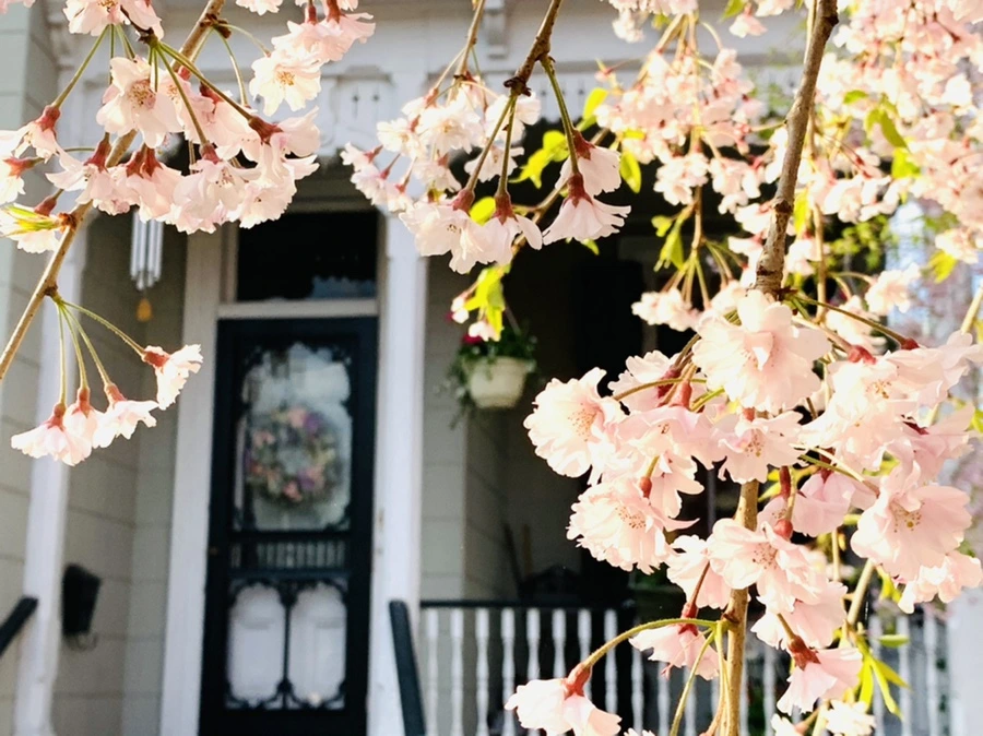 IMG_3673.jpg?type=w966