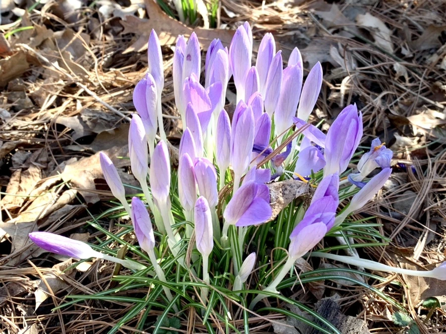 IMG_1417.jpg?type=w966