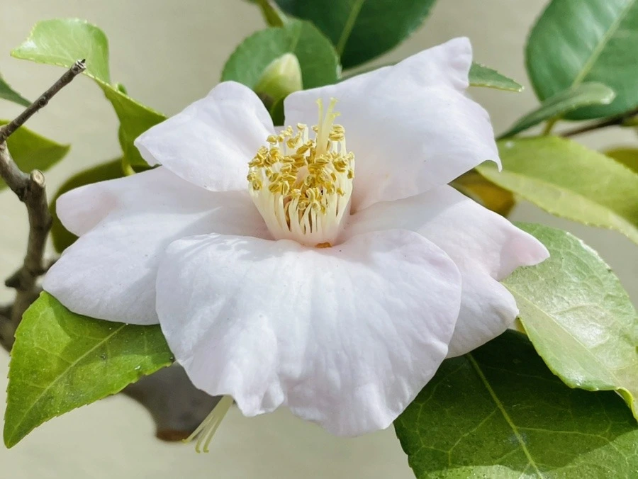 AE45VTFY9FutojBWDXISp9-UTow