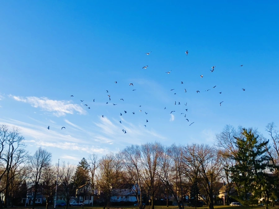 IMG_0893.jpg?type=w966