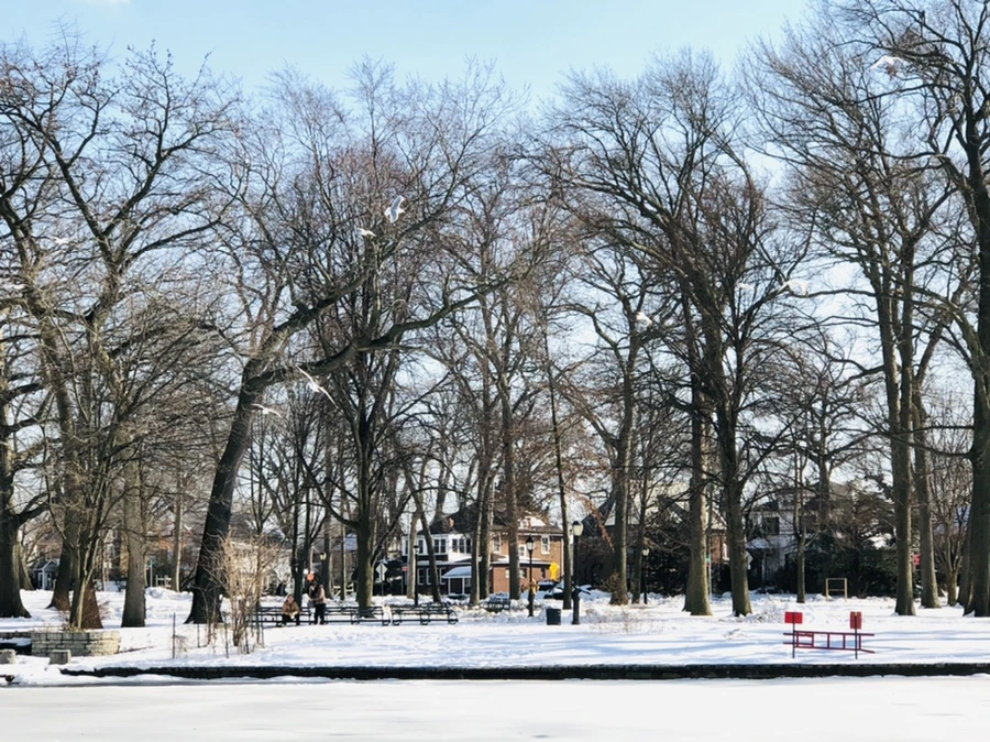 IMG_0303.jpg?type=w966