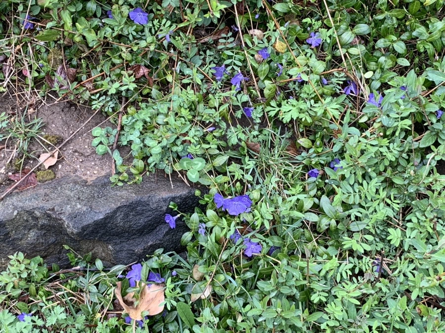 IMG_5019.jpg?type=w966