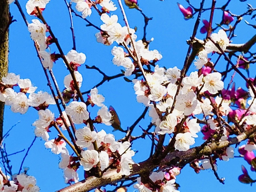 IMG_7467.jpg?type=w966