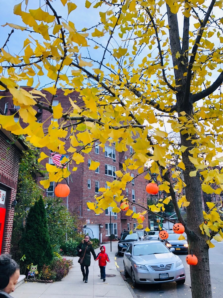 IMG_7746.jpg?type=w966