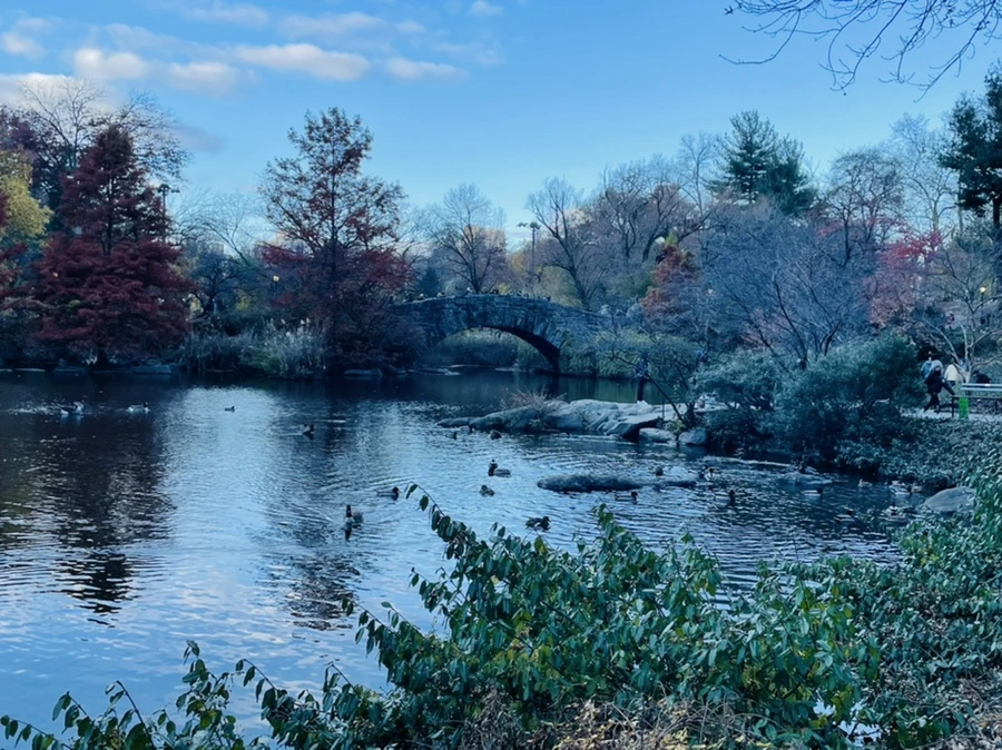 IMG_5015.jpg?type=w966