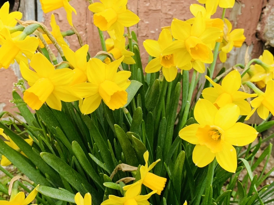 IMG_3202.jpg?type=w966