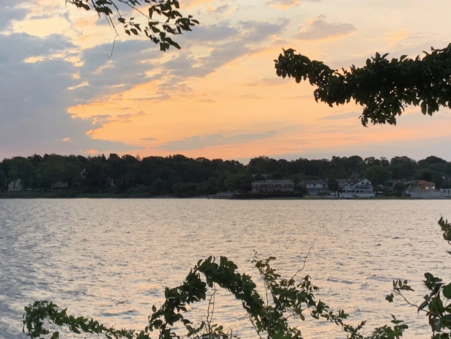 IMG_1701.jpg?type=w966