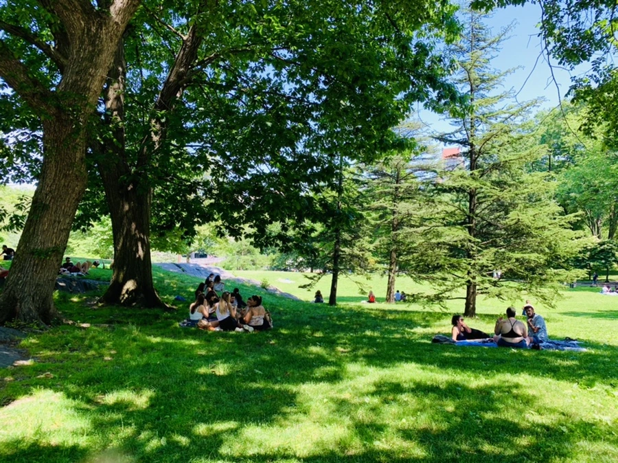 IMG_0982.jpg?type=w966