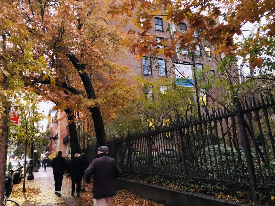 IMG_2265.jpg?type=w966