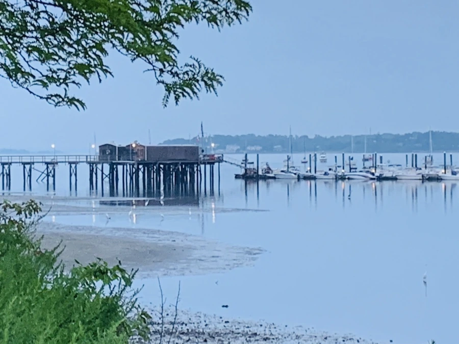 IMG_0131.jpg?type=w966