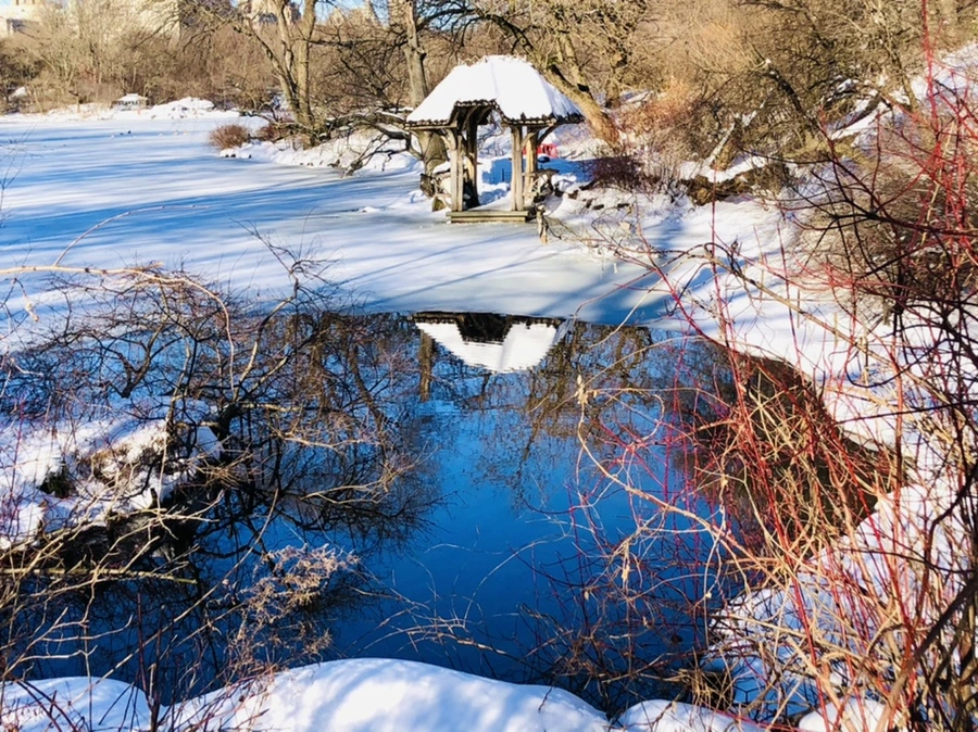 IMG_9945.jpg?type=w966