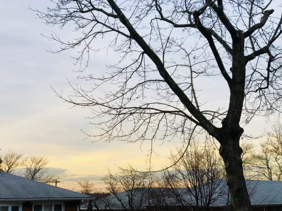 IMG_2191.jpg?type=w966