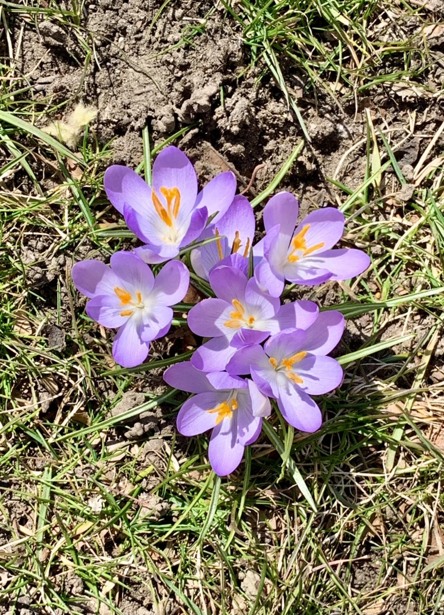 IMG_9182.jpg?type=w966