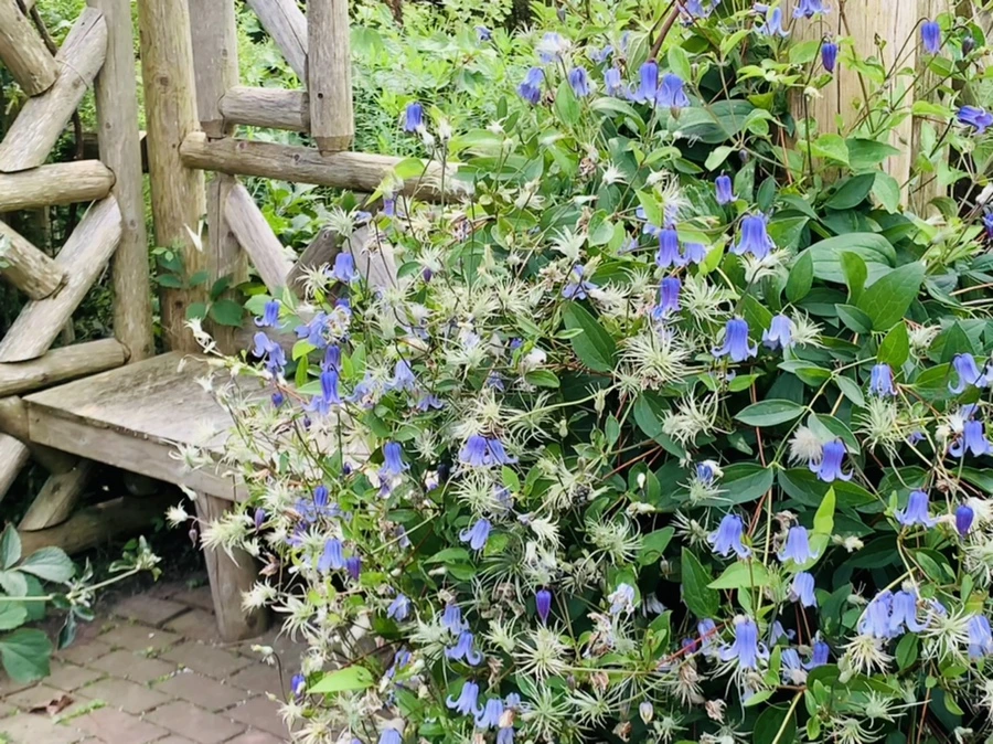 IMG_9408.jpg?type=w966