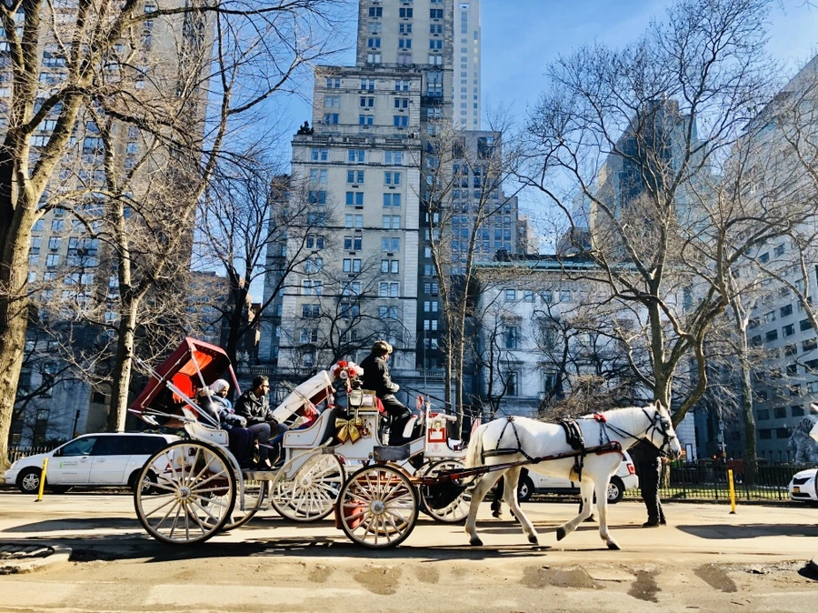 IMG_3990.jpg?type=w966