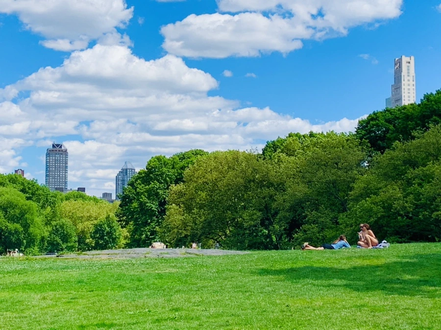 IMG_6349.jpg?type=w966