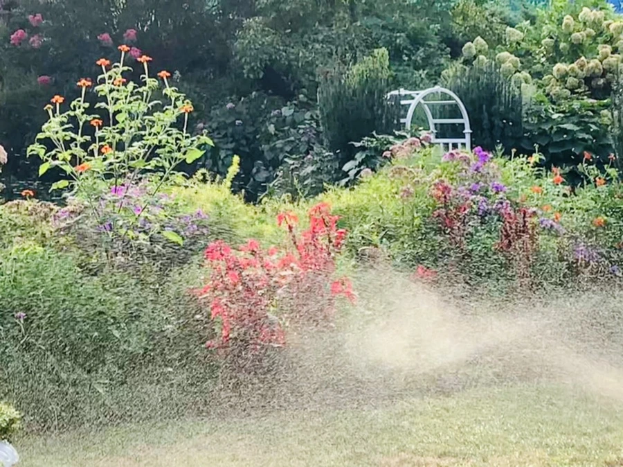 IMG_1236.jpg?type=w966