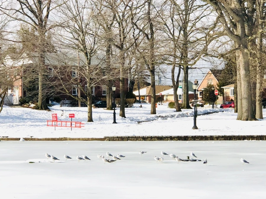 IMG_0111.jpg?type=w966