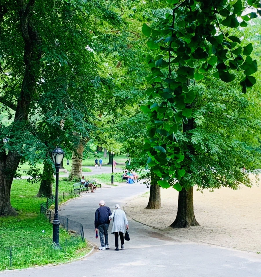 IMG_3300.jpg?type=w966