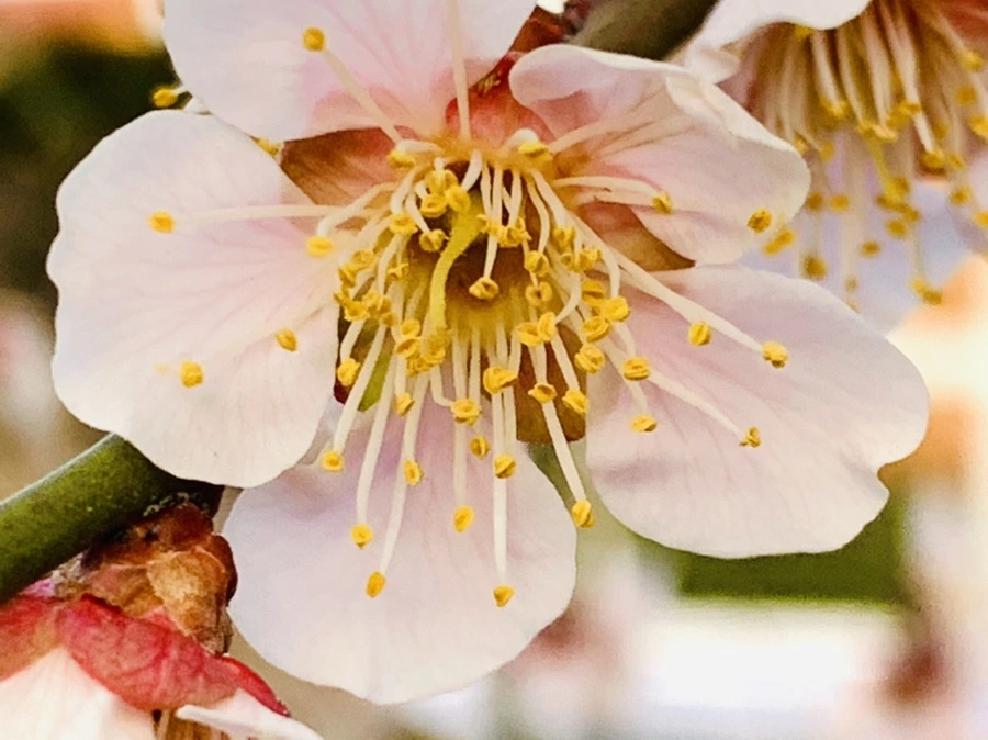 IMG_2784.jpg?type=w966