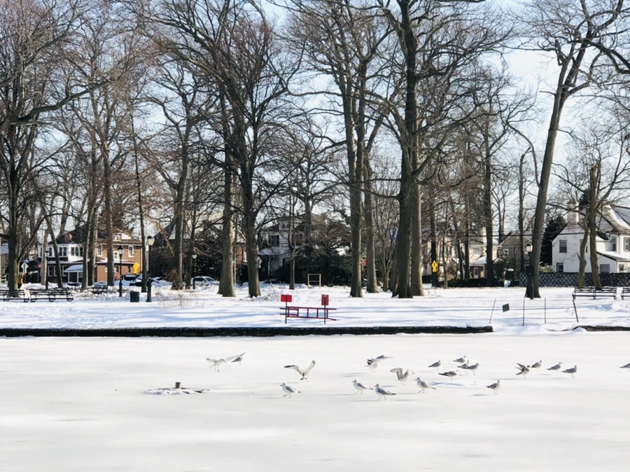 IMG_0311.jpg?type=w966