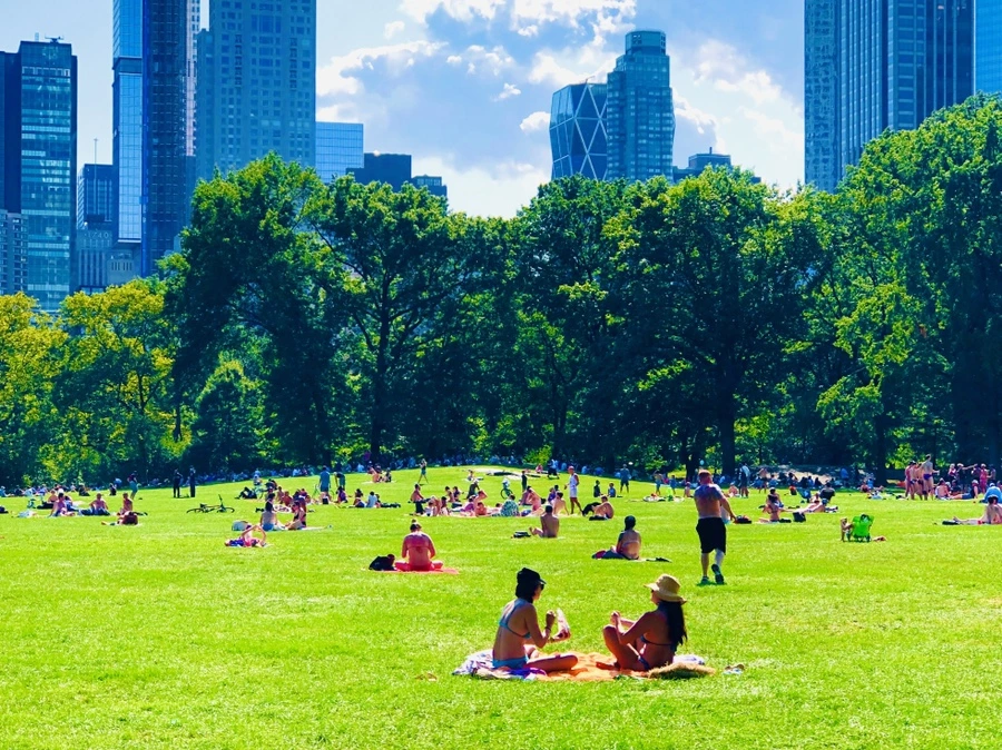 IMG_9401.jpg?type=w966