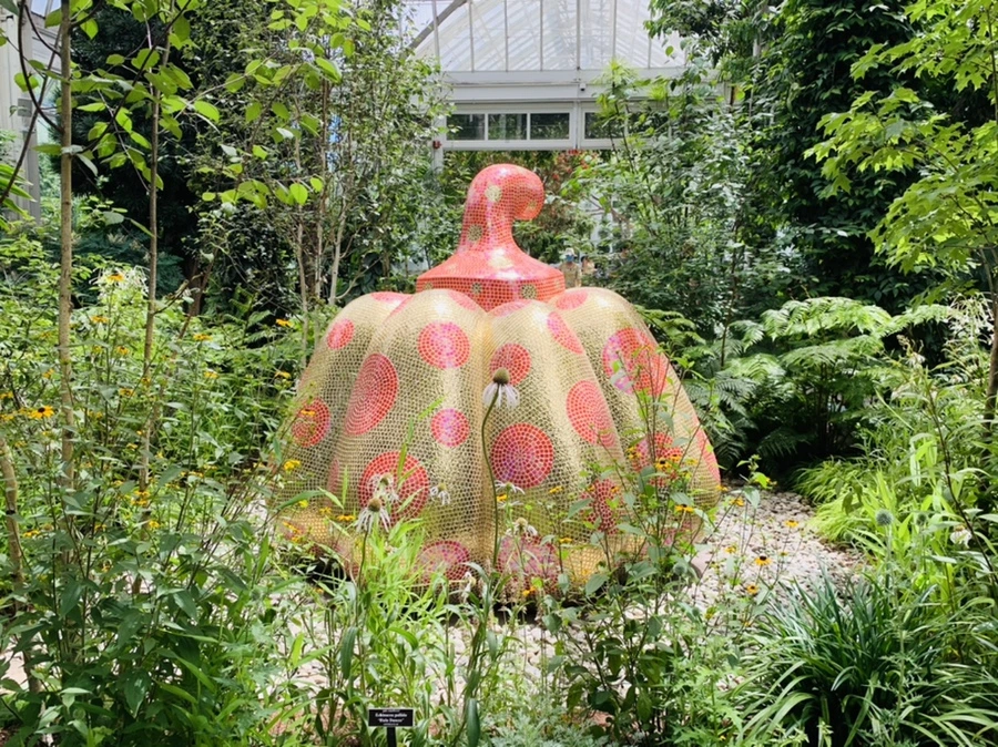 IMG_4427.jpg?type=w966