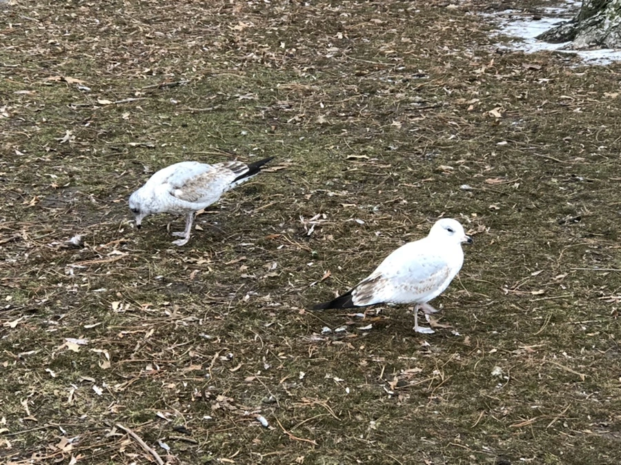 IMG_6448.jpg?type=w966