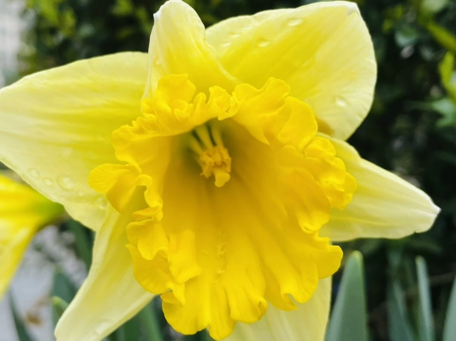 IMG_8721.jpg?type=w966