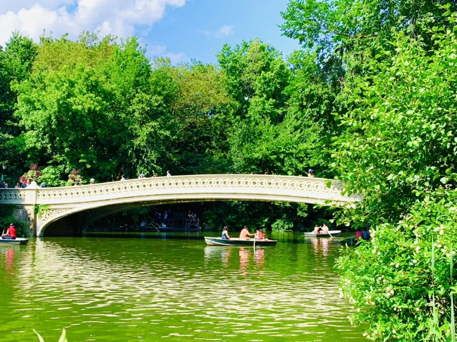 IMG_3449.jpg?type=w966