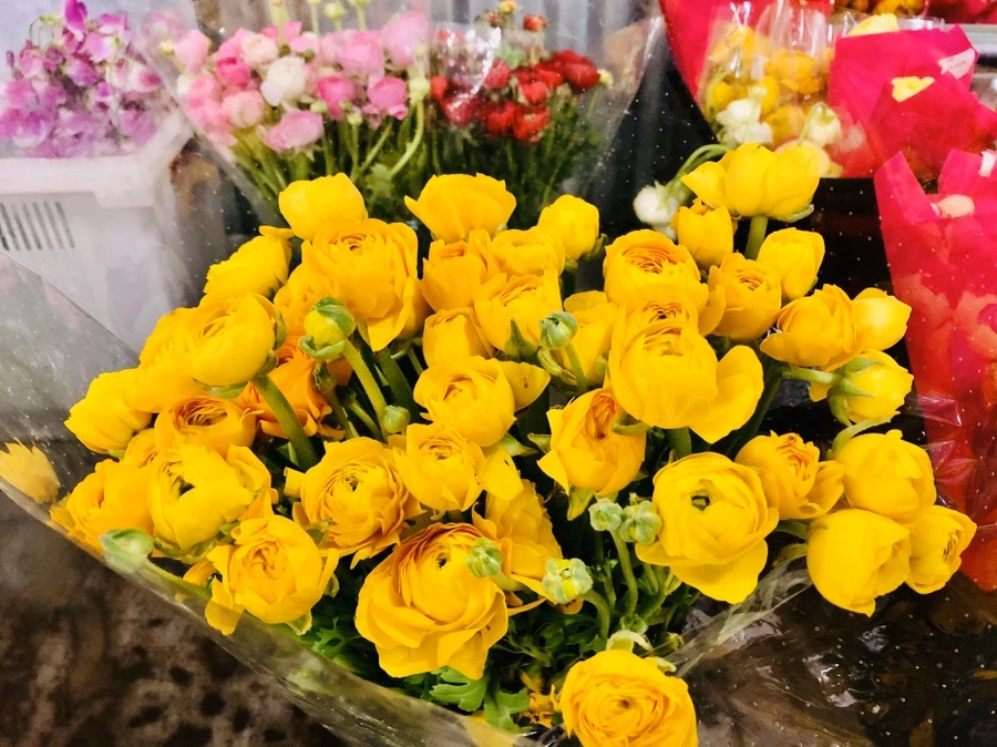 IMG_3144.jpg?type=w966