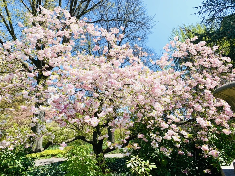 IMG_4822.jpg?type=w966