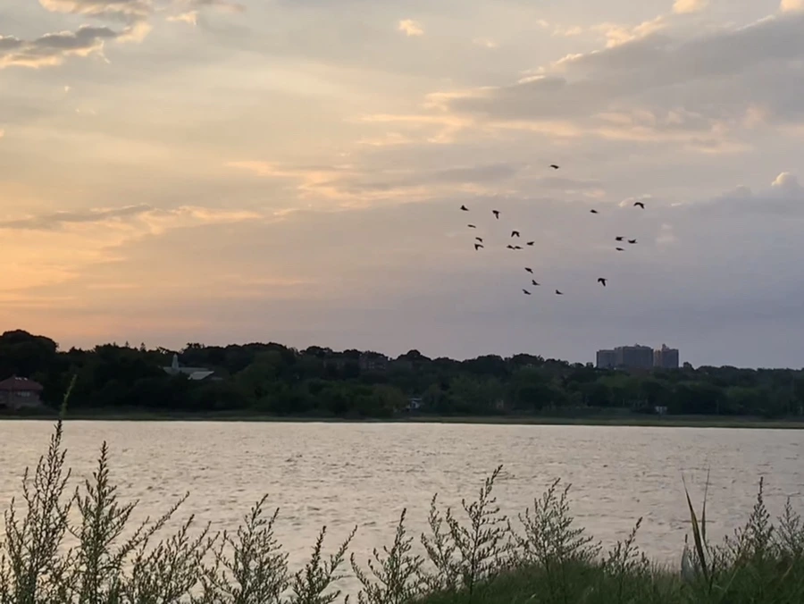 IMG_1720.jpg?type=w966