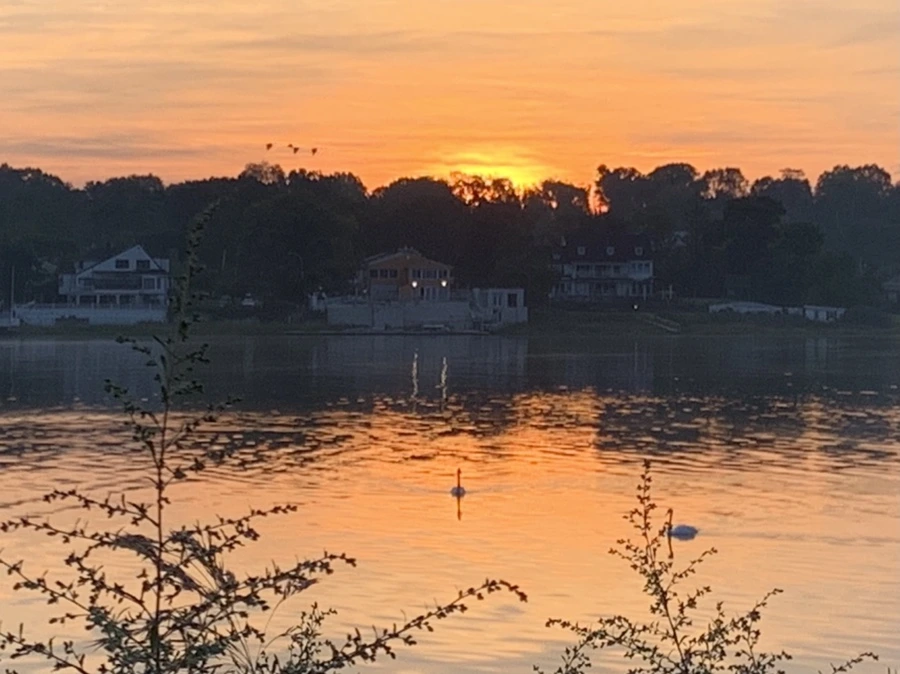 IMG_6812.jpg?type=w966