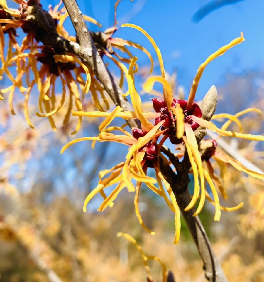 IMG_0741.jpg?type=w966