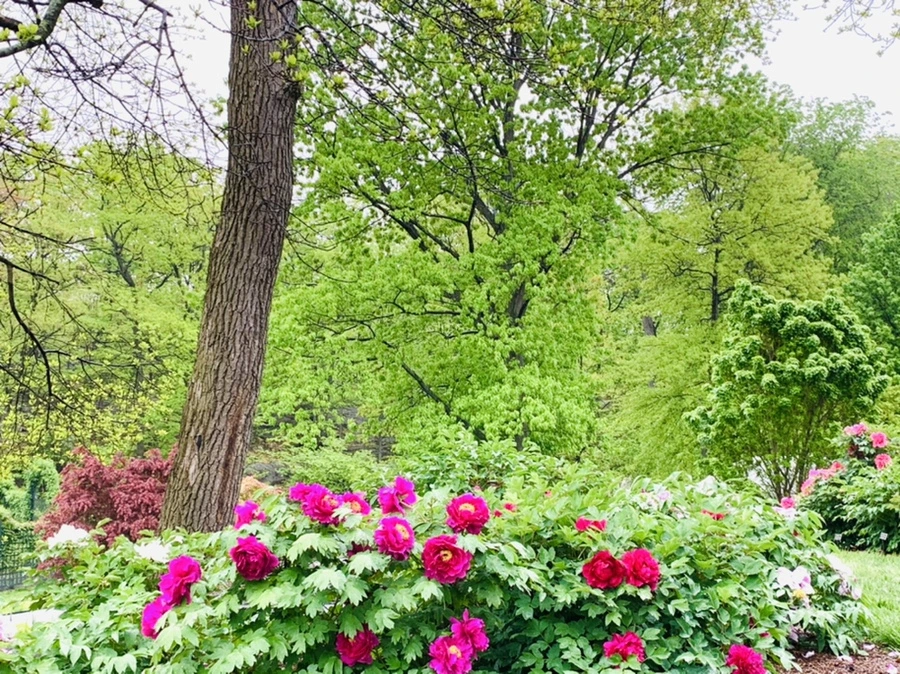 IMG_9998.jpg?type=w966