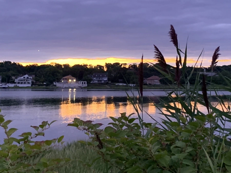 IMG_2276.jpg?type=w966