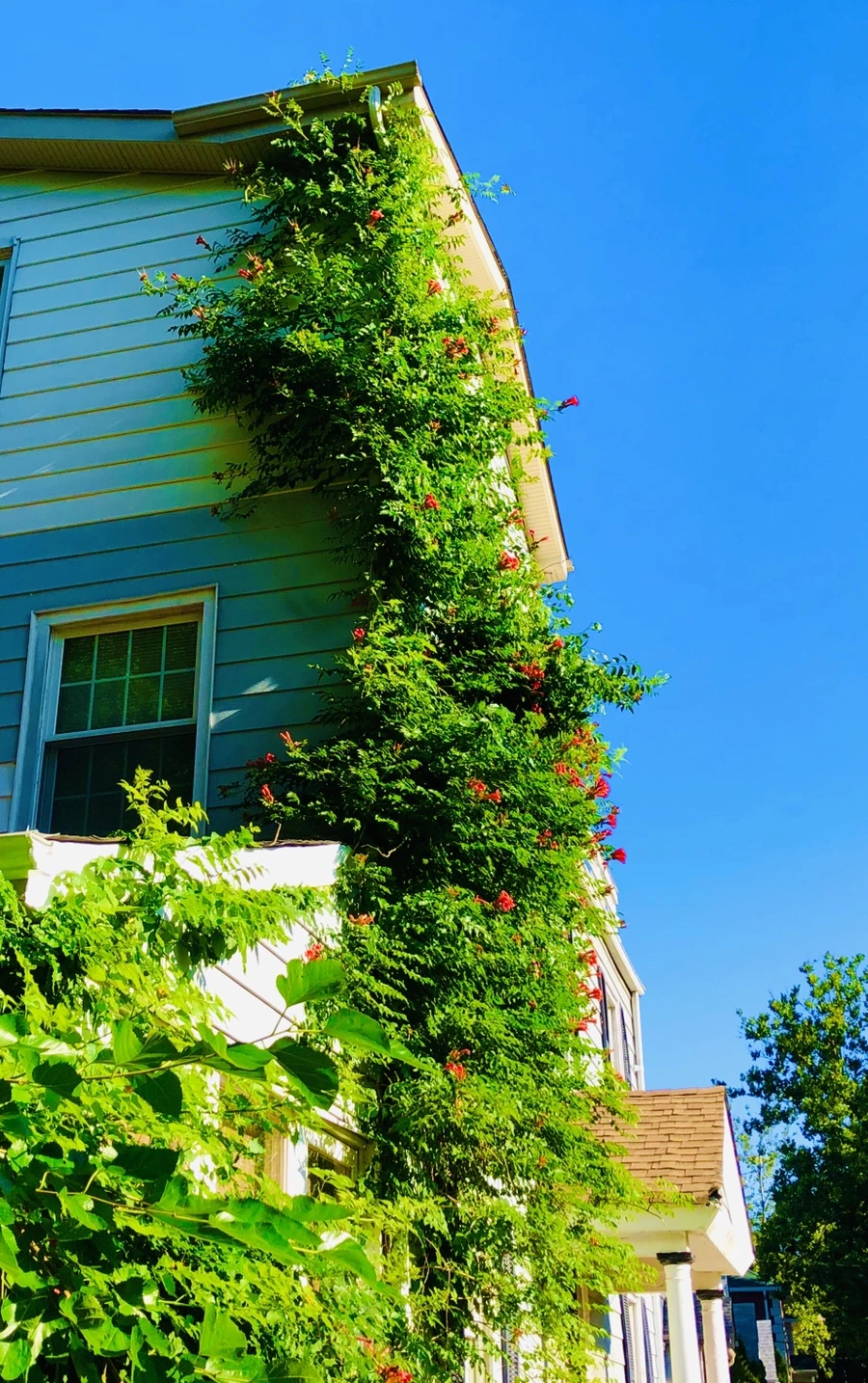 IMG_2765.jpg?type=w966