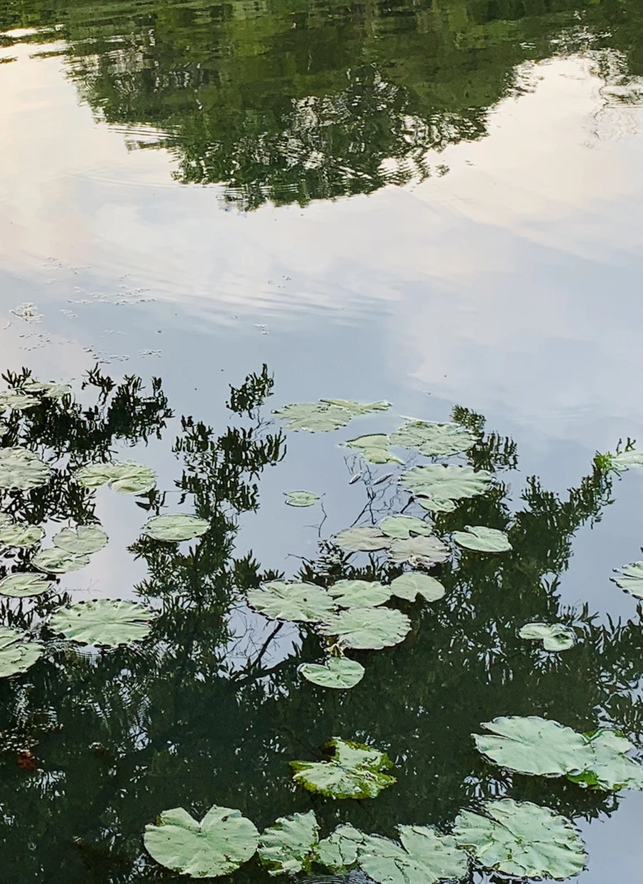 IMG_1507.jpg?type=w966