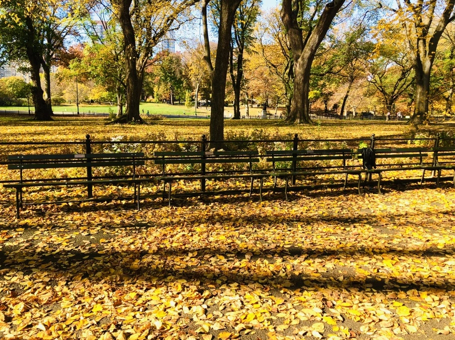 IMG_4268.jpg?type=w966