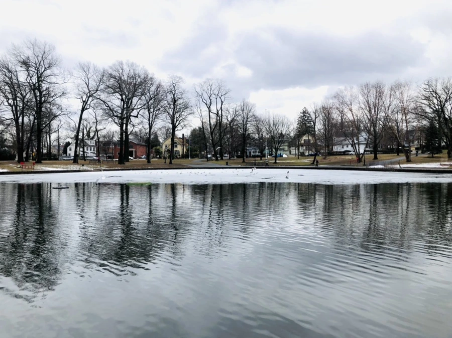 IMG_6440.jpg?type=w966