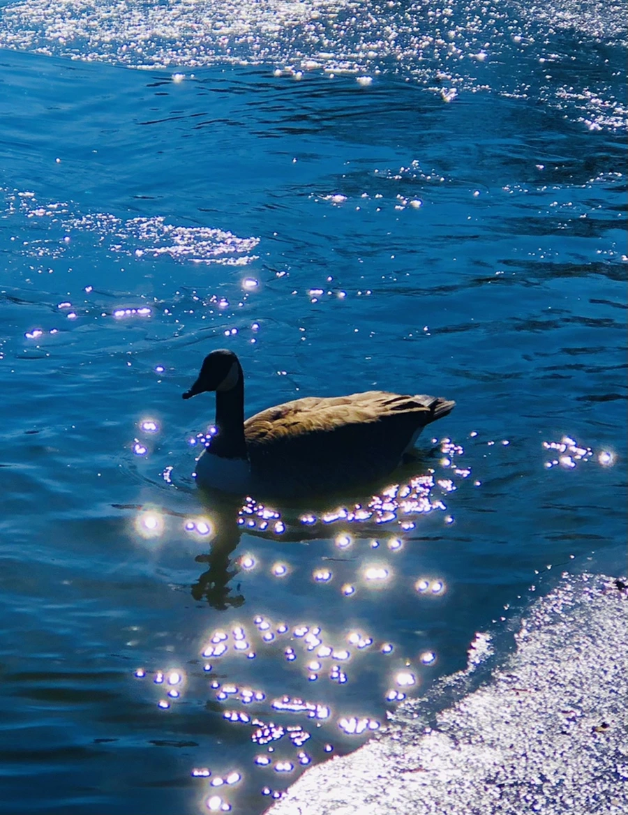 IMG_7759.jpg?type=w966