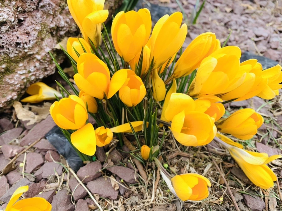 IMG_1661.jpg?type=w966