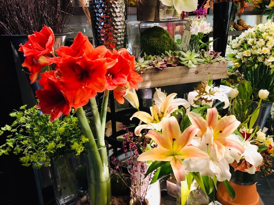 IMG_7156.jpg?type=w966