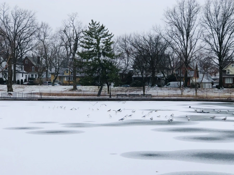 IMG_6188.jpg?type=w966