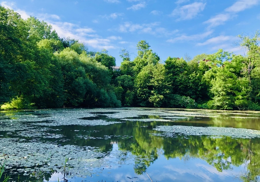 IMG_9242.jpg?type=w966